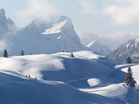 Winterwandern